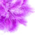 Lilac - Liliowe