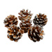 Szyszki sosnowe dekoracyjne z brokatem 6 szt.