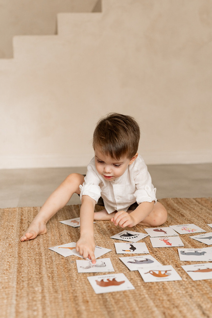 Karty pracy ZWIERZĘTA po angielsku 10 x 10 cm 78 sztuk