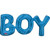 Boy