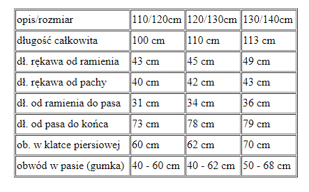 Strój Wiedźma Fioletowa
