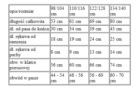 Strój dla dziewczynki Elf