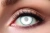 Blind White Visible 
