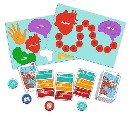 Gra edukacyjna dla dzieci CIAŁO CZŁOWIEKA Trefl