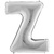 litera Z