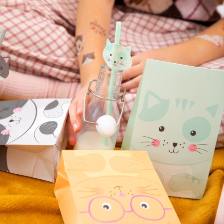 Słomki papierowe Kotki 19,5cm 6 szt.