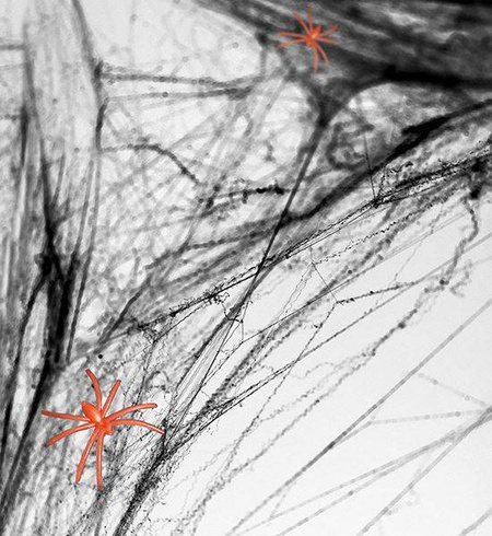 Pajęczyna CZARNA na halloween 60g pomarańczowe pająki