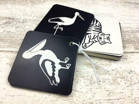 KARTY KONTRASTOWE ZWIERZĘTA W PASKI I ŁATY GRA EDUKACYJNA KAPITAN NAUKA