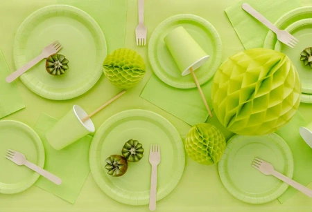 Talerzyki papierowe jasnozielone 23 cm, 6 szt. PartyDeco