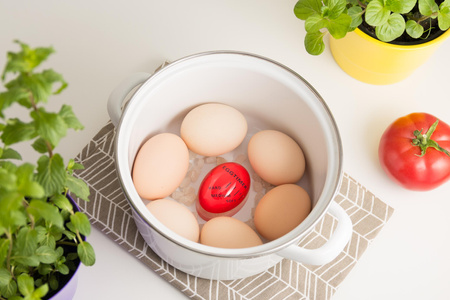 Gorące jajo - minutnik do gotowania jajek