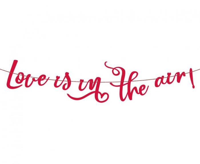 Baner Girlanda Love Is In The Air WALENTYNKI 200 cm