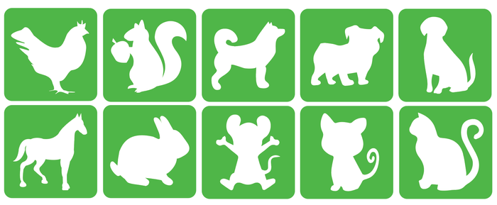 Szablony do tatuaży brokatowych ZESTAW 10 szt. mix Zwierzęta