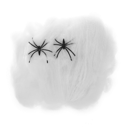 Pajęczyna biała 4 PAJĄKI 20 gram