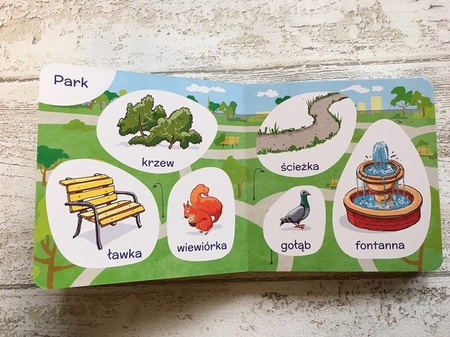 100 PIERWSZYCH SŁÓWEK. NA SPACERZE KSIĄŻKA KAPITAN NAUKA