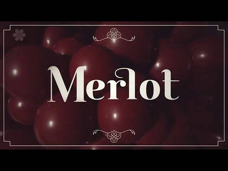 Balon lateksowy 18 cali Sempertex Solid 1 szt. Merlot