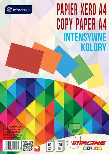 Papier A4 ryza 100 kartek 5 intensywnych kolorów