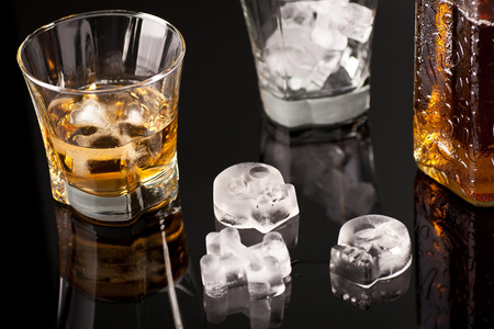 Foremka na lód - KOŚCI