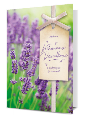 Kartka okolicznościowa Dzień Dziadka, Kochanemu Dziadkowi