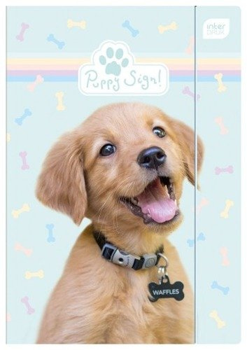 Teczka z gumką A4 LUX UV mix