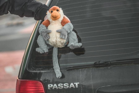 Pluszowy Nosacz Janusz