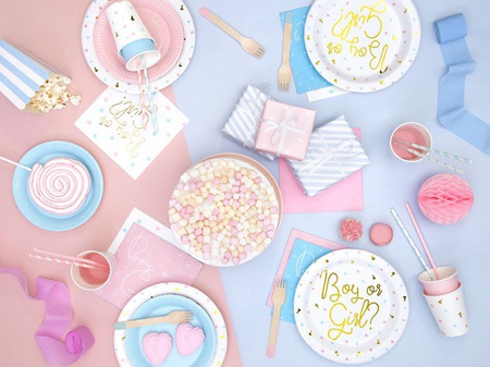 Papier ozdobny do pakowania prezentów Pastel 68,5x100