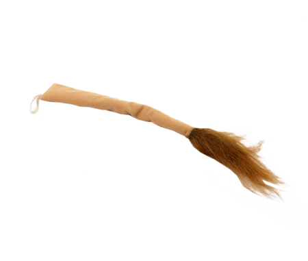 Ogon Lwa