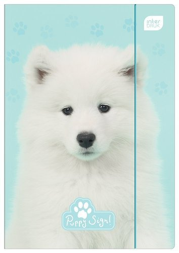 Teczka z gumką A4 LUX UV mix