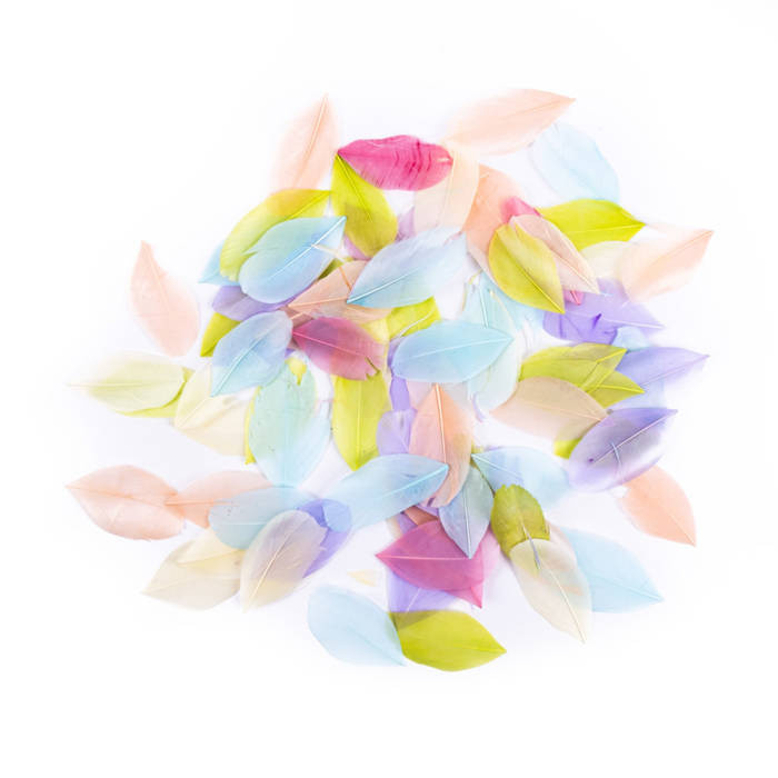 Piórka pióra gęsie Pastelowe 6 cm 5 g