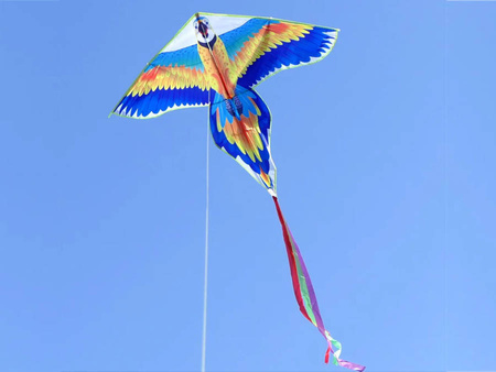 Latawiec duży papuga 160 cm