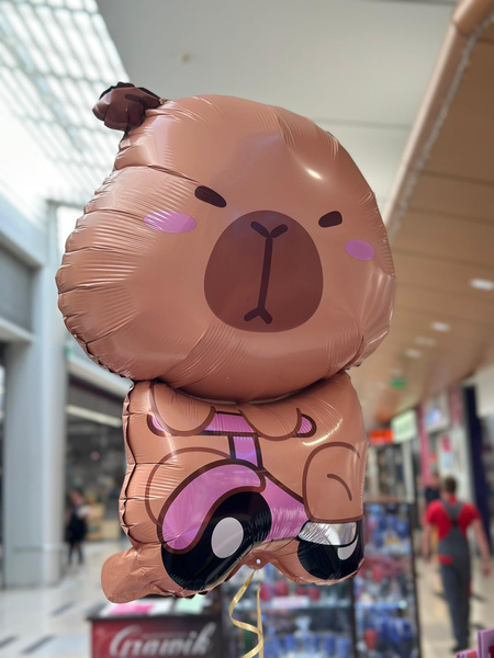 Kapibara na skuterze balon foliowy 47x65 cm