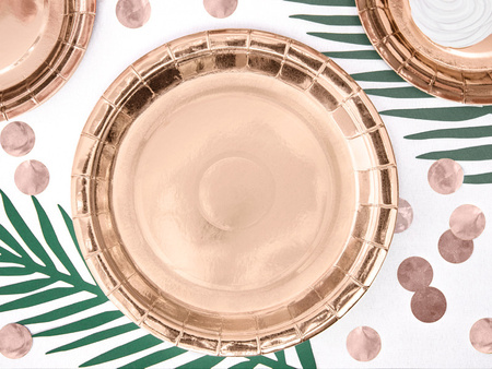 Talerzyki papierowe jednokolorowe Złoty Róż 23cm 6 szt.