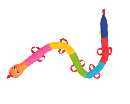 WĄŻ SPACEROWY gąsienica tęczowy AKSON