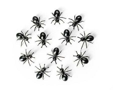 Imprezowe MRÓWKI na przekąski