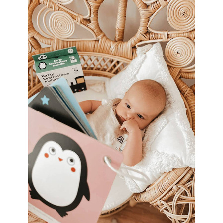 Widzę szczegóły! KARTY KONTRASTOWE dla malucha 6mies+