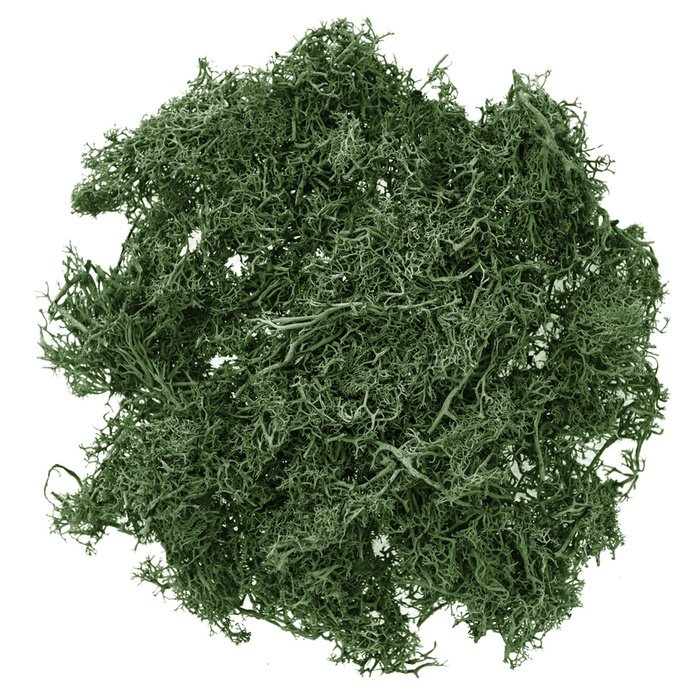 Mech kreatywny opakowanie 30g