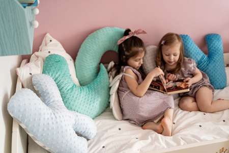 Dream Pillow poduszka PTASZEK plusz minky 45 x 45 cm 1 szt.