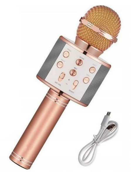 Mikrofon bezprzewodowy KARAOKE Bluetooth + głośnik