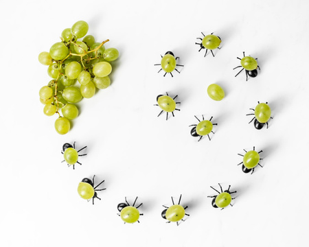 Imprezowe MRÓWKI na przekąski