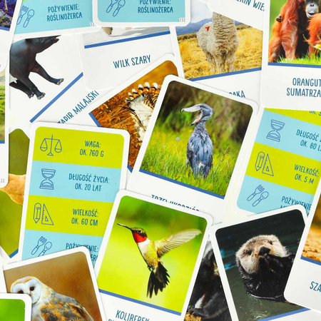 Gra edukacyjna Na tropie gra dla ciekawskich 8+ MULTIGRA Alexander