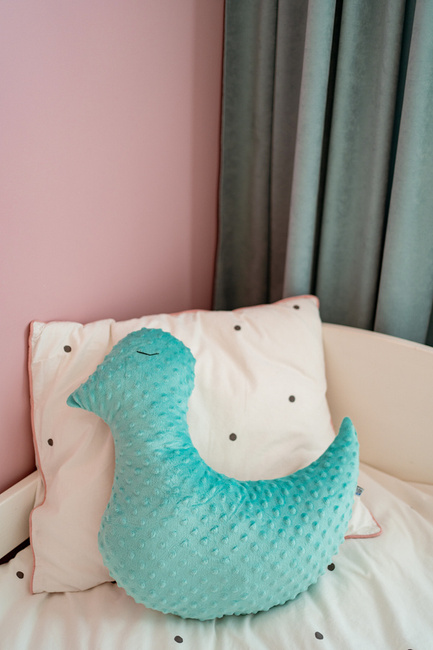 Dream Pillow poduszka PTASZEK plusz minky 45 x 45 cm 1 szt. OUTLET - powystawowa