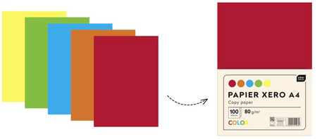 Papier A4 ryza 100 kartek 5 intensywnych kolorów