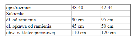 Strój dla dorosłych Uwodzicielska Wiedźma Czarownica