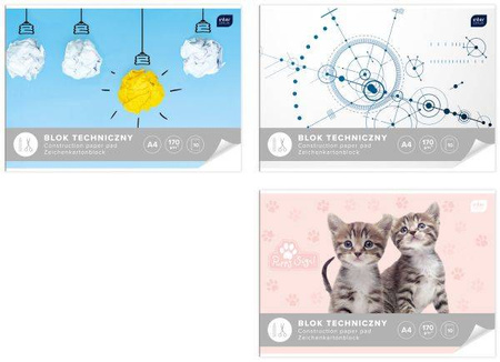 Blok techniczny biały A4 10 kartek