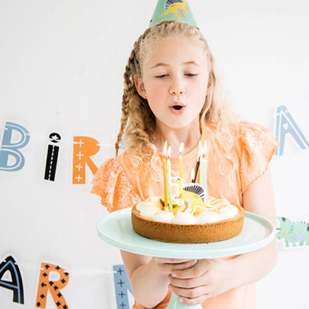 Świeczki urodzinowe na tort Zestaw DINOZAURY 11 szt.