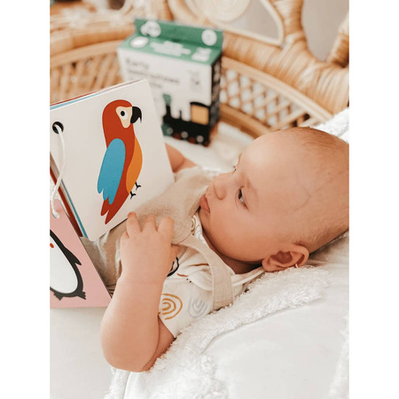 Widzę szczegóły! KARTY KONTRASTOWE dla malucha 6mies+