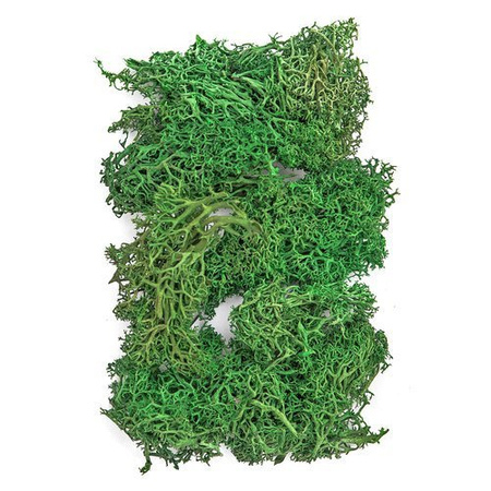 Mech kreatywny opakowanie 30g