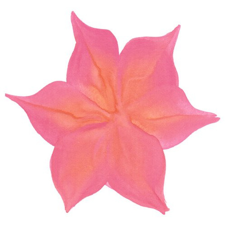 Farba do twarzy i ciała Split Cake Eulenspiegel 6 ml