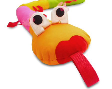 WĄŻ SPACEROWY gąsienica tęczowy AKSON