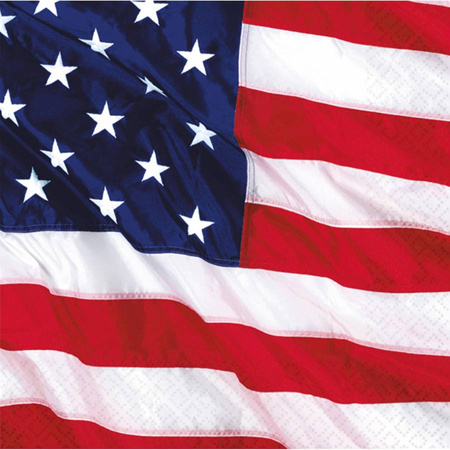 Serwetki gładkie Flaga USA 25 x 25 cm 16 szt.