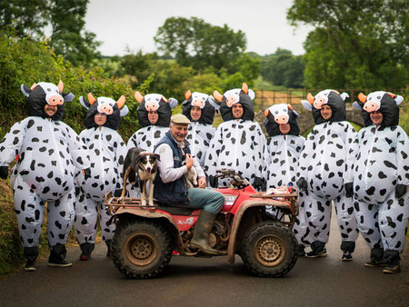 Strój kostium DMUCHANY dla dorosłych - krowa